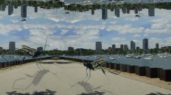 004-faa-city-bugs-01