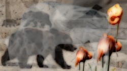 Alt: Zoo Day in Haze