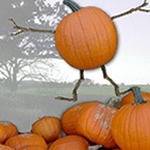 Pumpkin Image