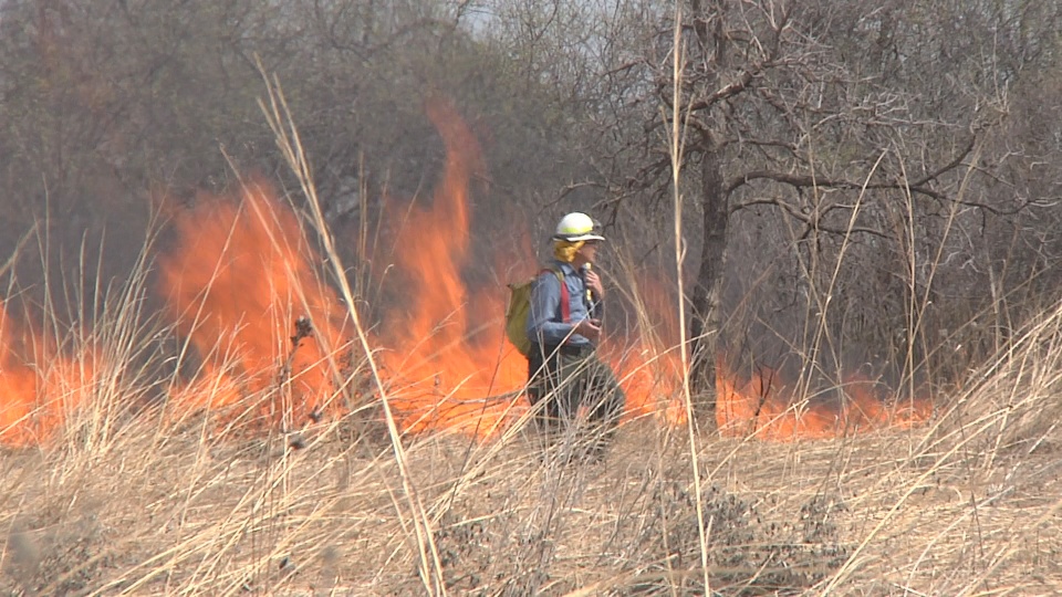 Prairie Burn