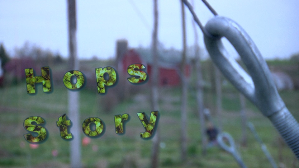 Hops Story