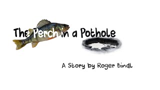 Perch In Pothole